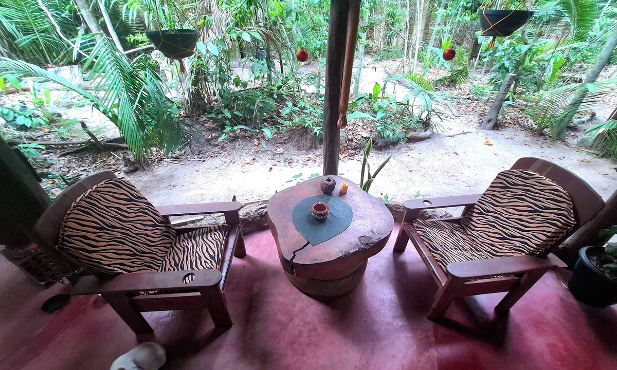 Alter do Chao Cabin | A tortoise's house in an Enchanted Forest. Reconnect