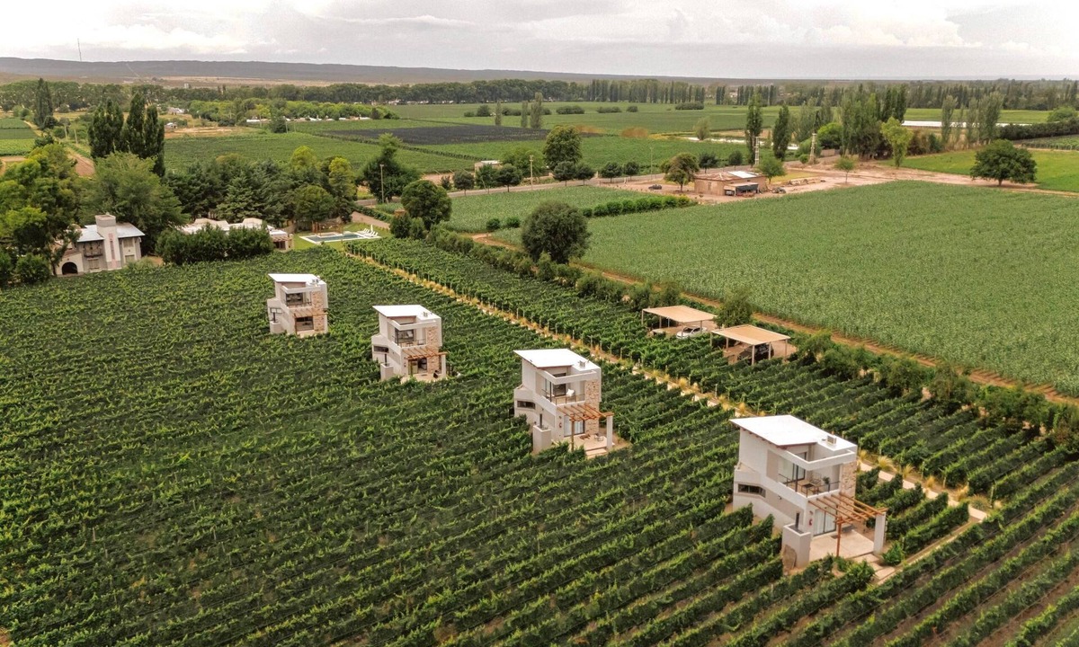 Lujan de Cuyo Cabin | Agrelo Vines Lodge