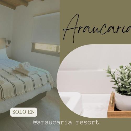 San Rafael Ski Chalet | ARAUCARIA Resort