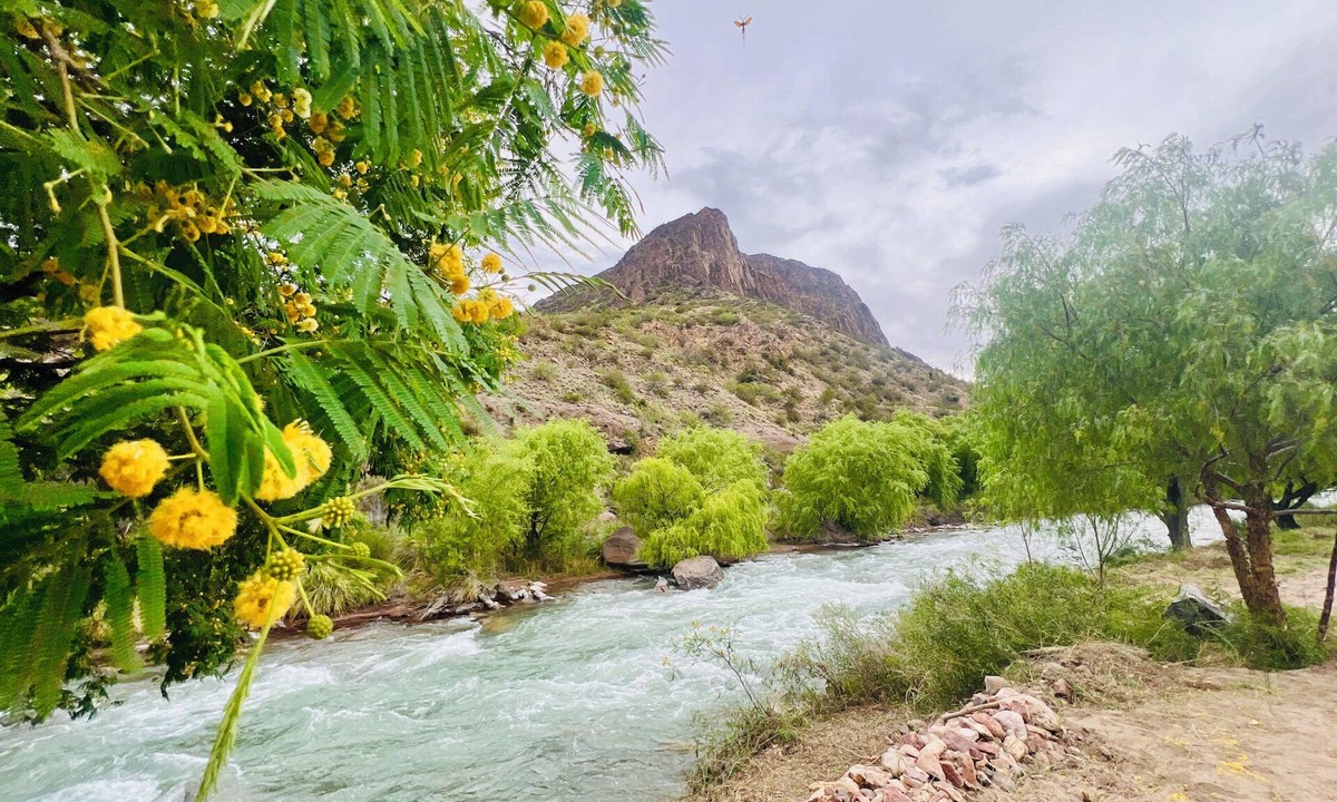 Rincon del Atuel Cabin | Bella Ribera – Riverfront Cabins in Valle Grande with Big Pool & Private Jacuzzi