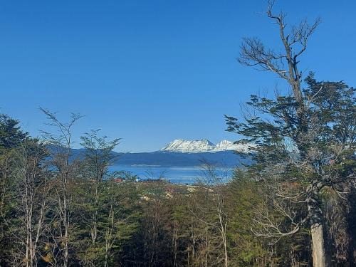 Province of Tierra del Fuego House | Cálida casa en el fin del mundo