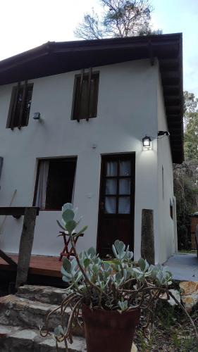 Bosque Peralta Ramos Apartment | Cabaña Bosque Peralta Ramos para 4 personas, 2 dormitorios