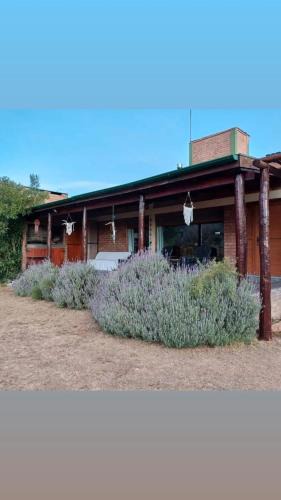 Chacabuco Department Ski Chalet | Cabaña Los Espinillos