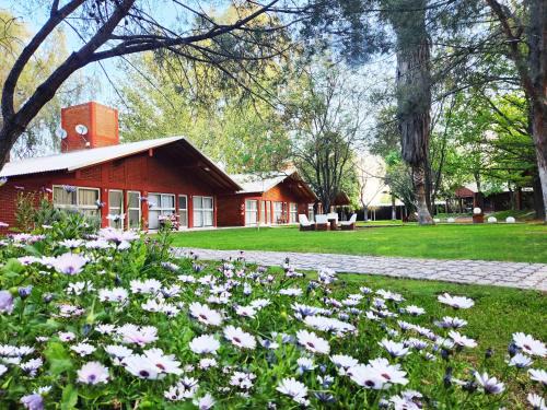 Cuadro Nacional Cabin | Cabañas Las Marias
