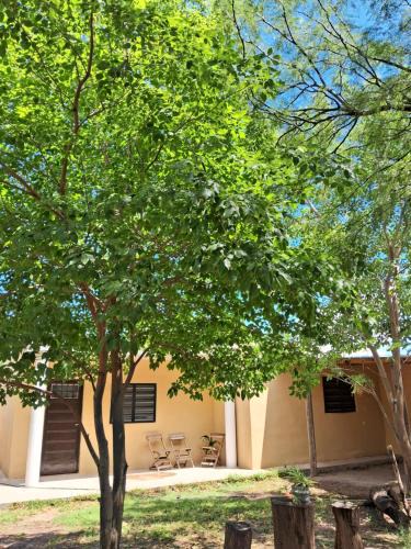 Villa Quilino Apartment | Cabañas los algarrobos
