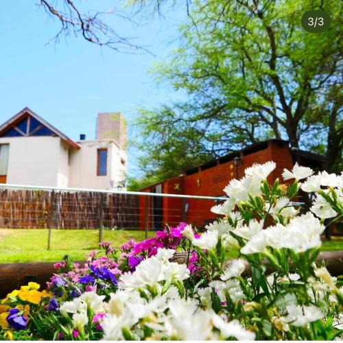 Potrero de los Funes House | Cabañas Villa las Lomas