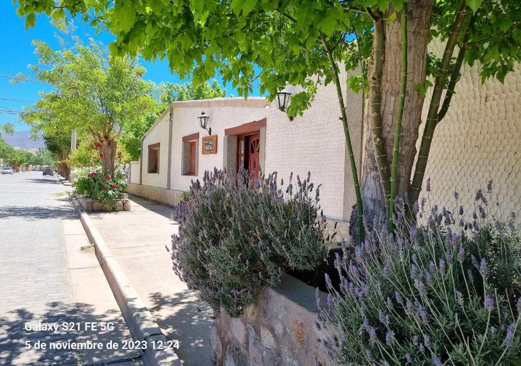Molinos Bed & Breakfast | Cardones de Molinos