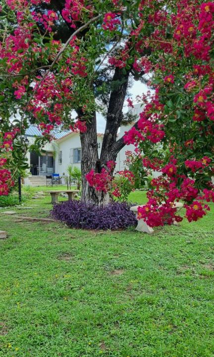 Alta Gracia House | Casa de Campo - Don Bosco