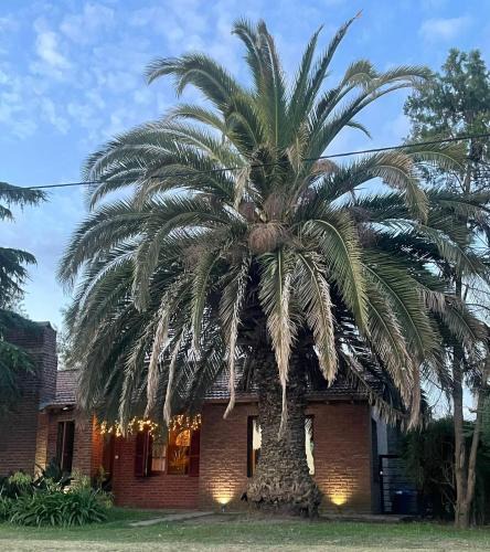 Suipacha House | Casa Serena