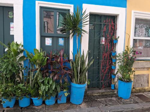 Santo Antonio Apartment | CasaDoCarmo Térreo