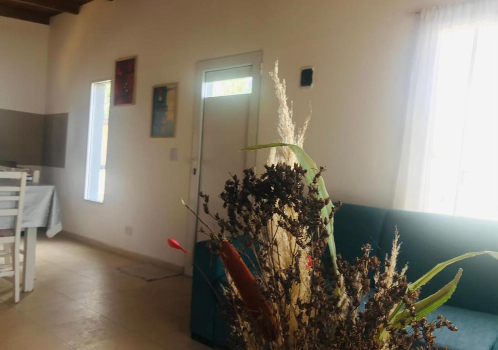 Plottier House | Casita en plottier