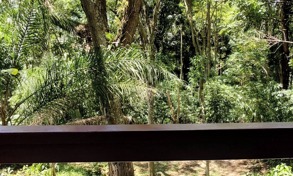 Florianopolis Ski Chalet | Chalé Nature na Lagoa da Conceição RM9376