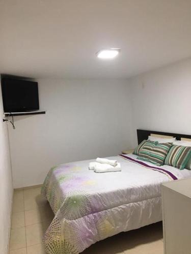 San Rafael Apartment | Coqueto dpto Interno.