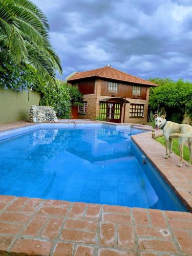 Olavarria House | Duplex El Duende