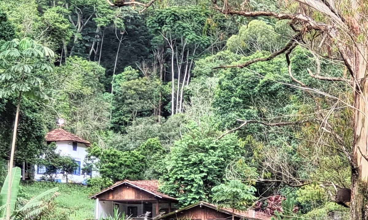 Teresopolis House | Ecological paradise on a farm 100km from Rio in the middle of the Atlantic Forest reserves