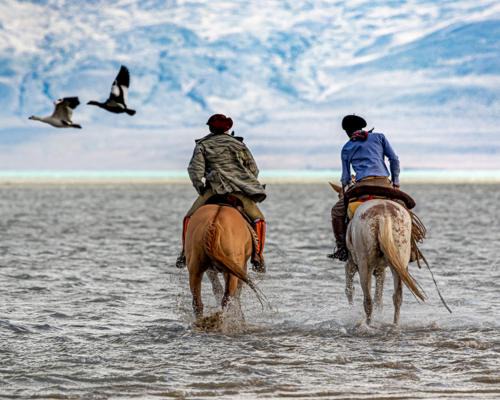 El Calafate Hotel | El Galpón del Glaciar