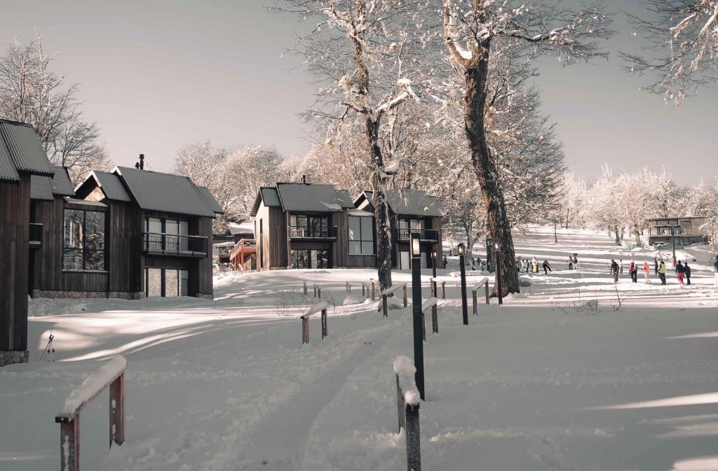 Lanin National Park Hotel | El Refugio Ski & Summer Lodge