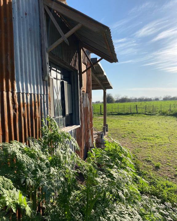 Partido de Navarro House | El Tambo - Hospedaje Rural