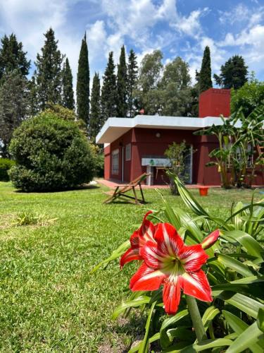 Tristan Suarez Villa | EZEIZA 10 minutes the air port,quinta tauro, barrio privado la celia
