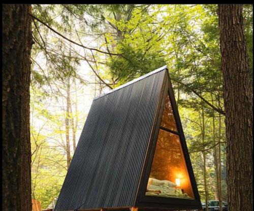 Gowland Other | Forest Glam
