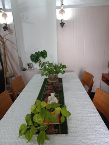 Mercedes House | Gabino House I