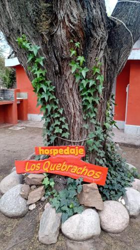 San Marcos Sierra Hotel | Hospedaje Los Quebrachos