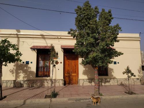 Tinogasta House | Hostal Dña Tinogasta Casa de Adobe