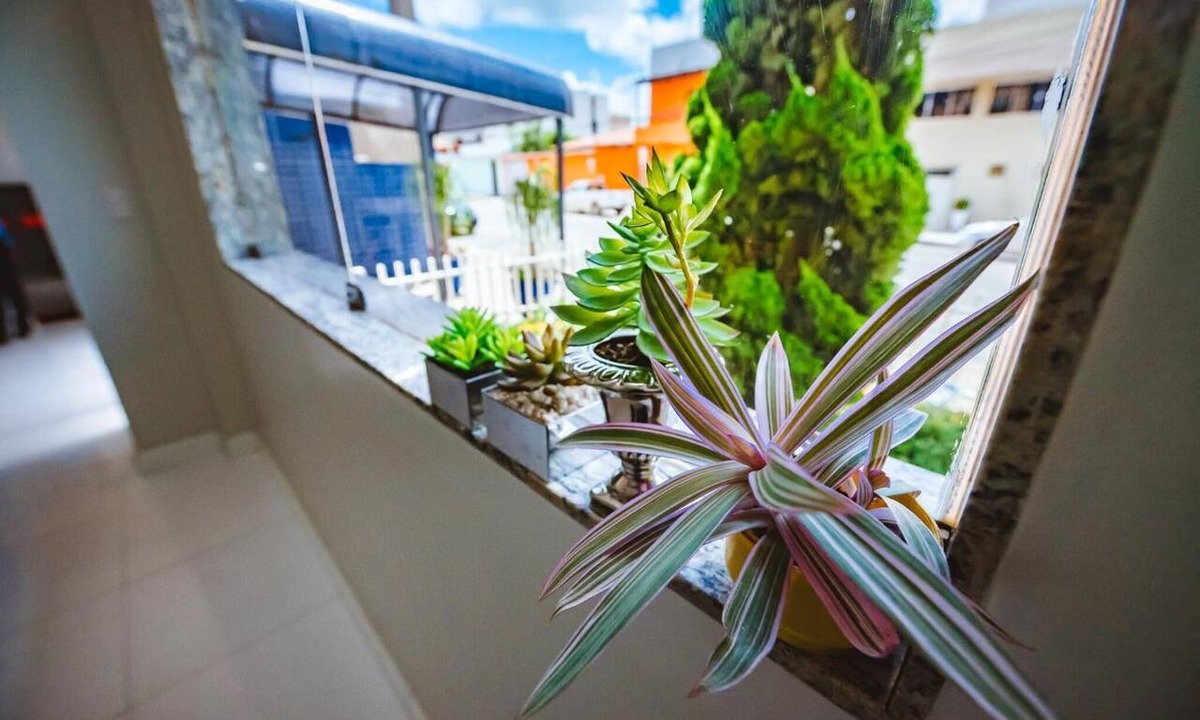 Ibirapuera Hotel | Hotel Cafezal