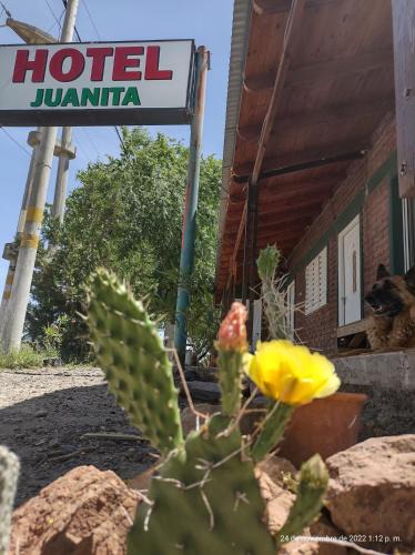 Puelches Hostel | Hotel Juanita