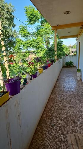 Posadas House | Hotel Los Chow Chow