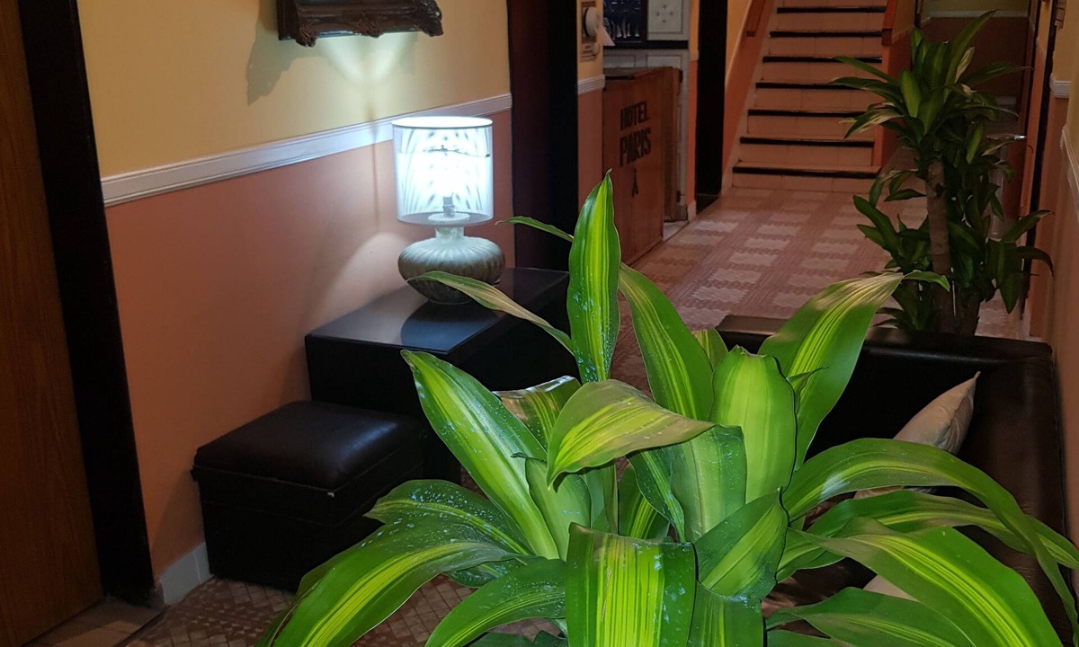 General San Martin Hotel | Hotel Paris