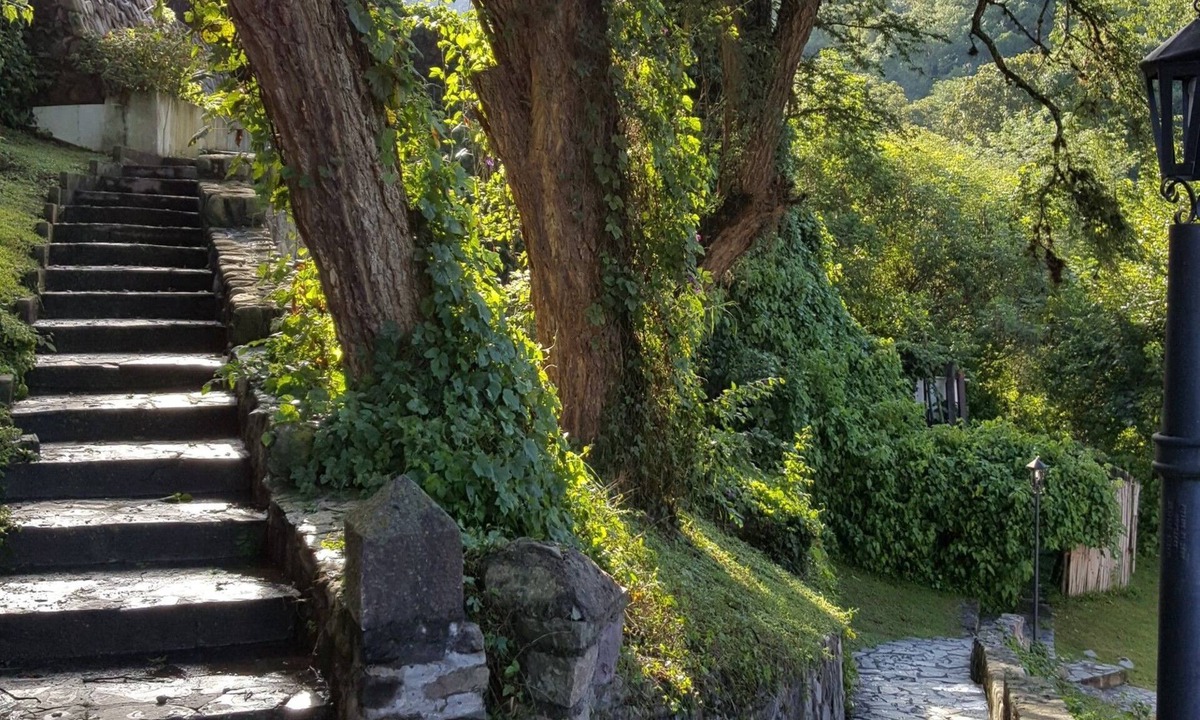 Villa San Lorenzo Hotel | Hotel Selva Montana