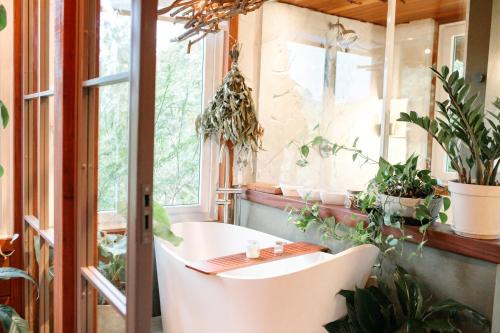 Itaipava Ski Chalet | Jardim de Tereza Cabana Manjericão I Camboriú