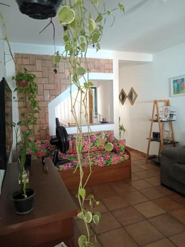 Jardim California House | KaDinizHouse