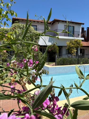 Olavarria Apartment | LA CALLEJA Apart ,Departamento Con vista al Jardin