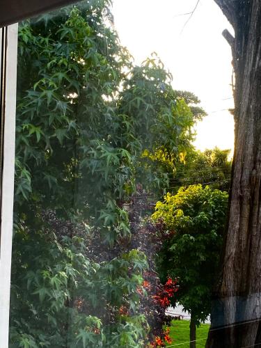 Bosque Peralta Ramos House | La Casa de los Keikis