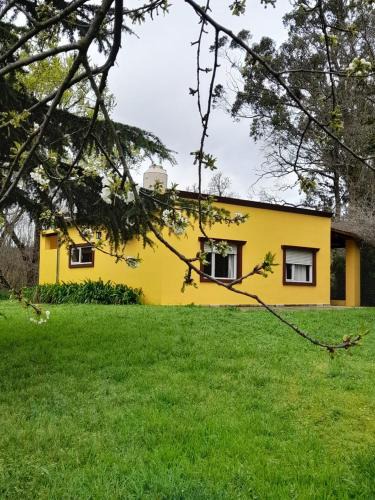Tandil House | La casita amarilla