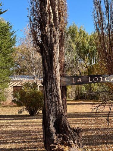 Barreal Ski Chalet | La Loica