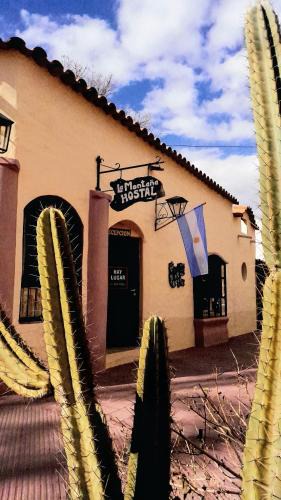 Cafayate Bed & Breakfast | La Montaña B&B