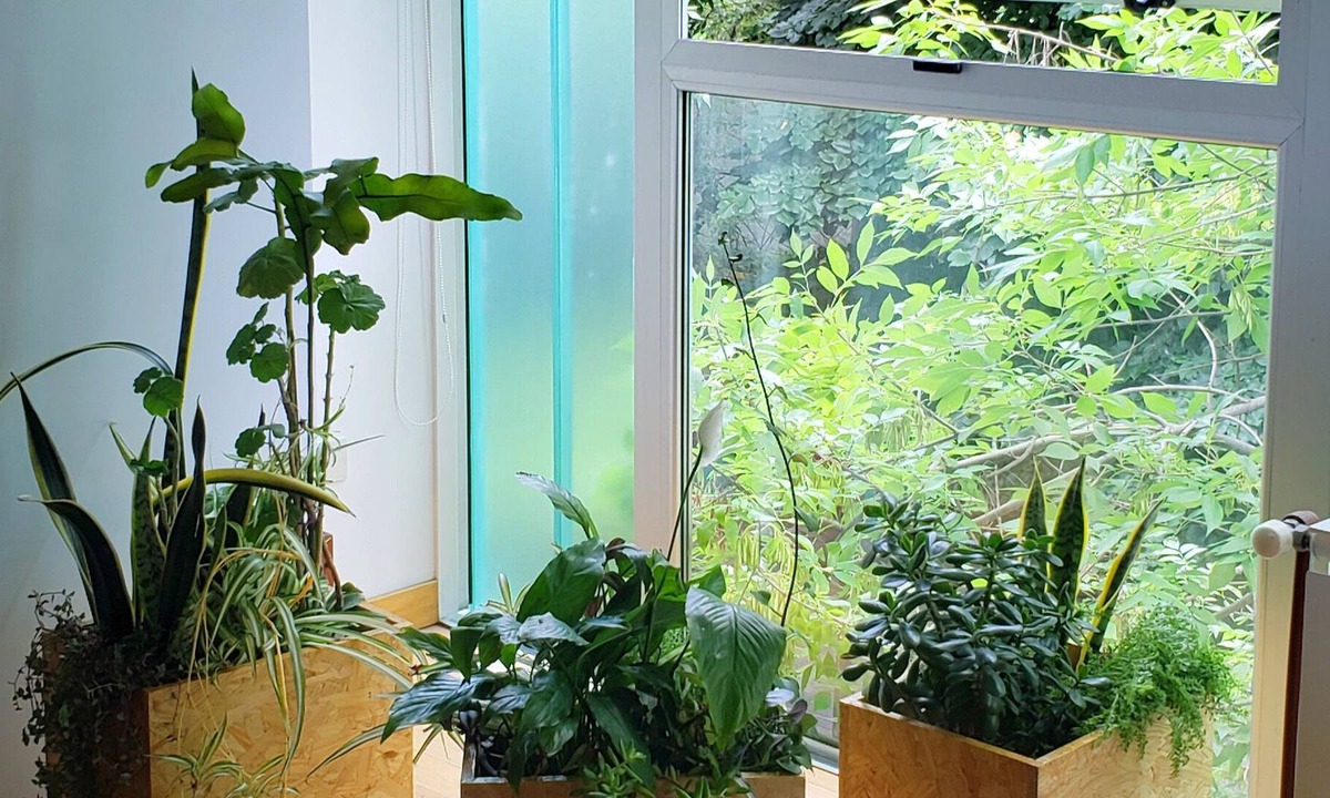 La Plata Apartment | Luminoso semipiso en La Plata 3 personas con cochera ideal coworking