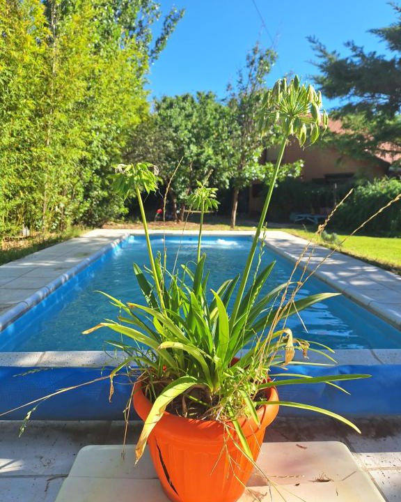 Carpinteria Apartment | Luz de Cabaña