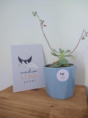 Choele Choel Apartment | Media Luna Apart -Depto A en Choele Choel