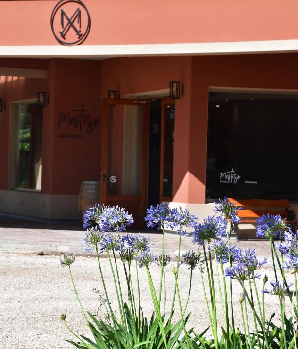 Lincoln Hotel | Mestizo Hotel