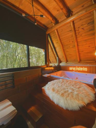 Nova Petropolis Other | Monkey House