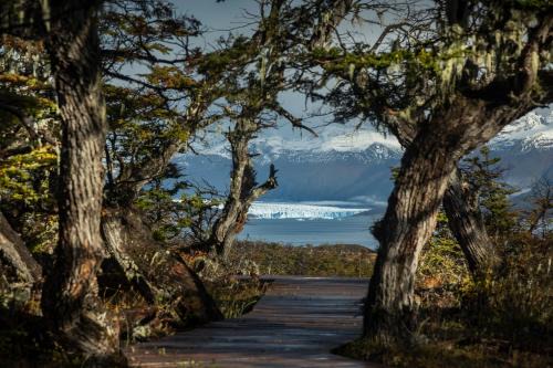 Perito Moreno Other | Moreno Camp - Glamping with a view