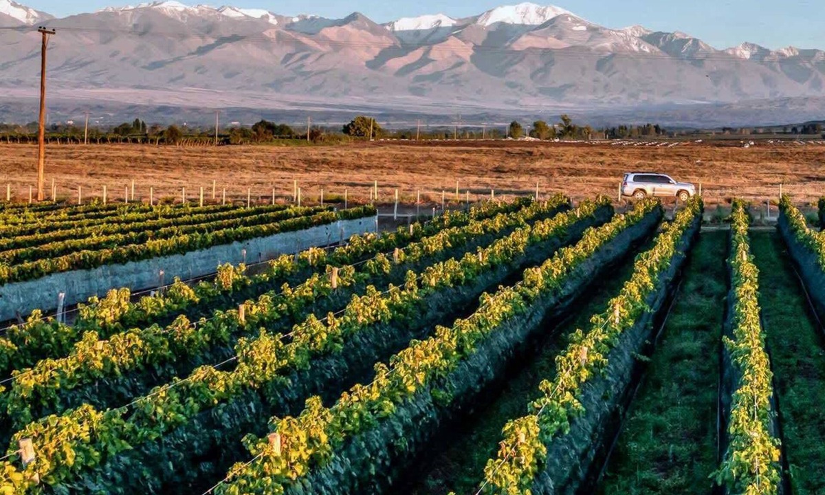 Tupungato Villa | MOT Rentals + Wine Country - 3 Bd Villa in Tupungato
