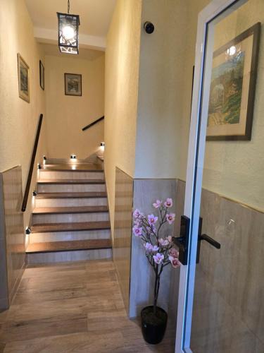Pasteur Apartment | Nelly's Apartment