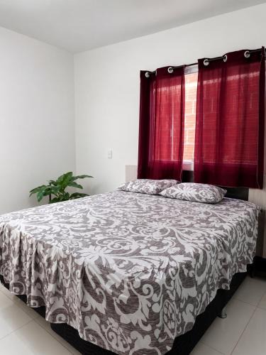 Caruaru Apartment | NSA - Casa Completa com Quintal Arborizado