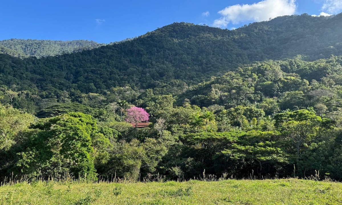Itaguai House | Porangaba Reserve/Excl House in Private Natural Reserve/Atlantic Forest