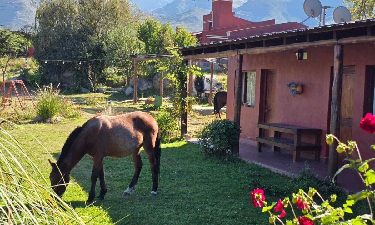 Tafi del Valle Hostel | Portal de la Ovejería